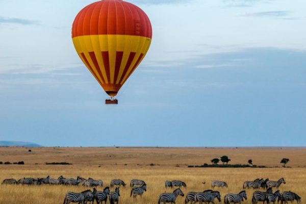 masai-mara-wildlife-game-viewing
