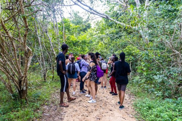 shimba-hills-trekking-02