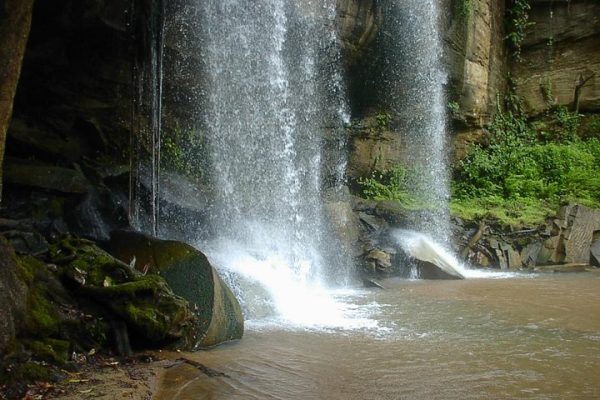 shimba-hills-trekking-04