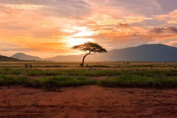 tsavo-east-vast-wilderness