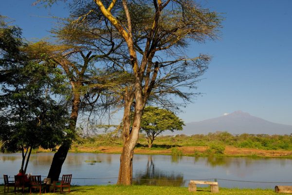 voyager-ziwani-tsavo-view-of-kilimanjaro