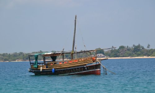 wasini-dolphin-tours-boat-ride