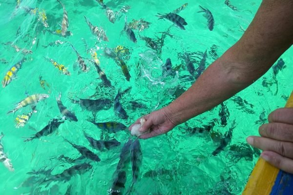 watamu-safari-blu-08